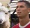 Cristiano-Ronaldo-pecore