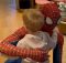 spiderman_leone